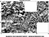 t5areaH.jpg (10725 bytes)