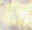btbn1.jpg (5172 bytes)