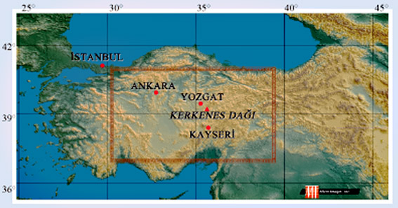 turkey2.jpg (76073 bytes)